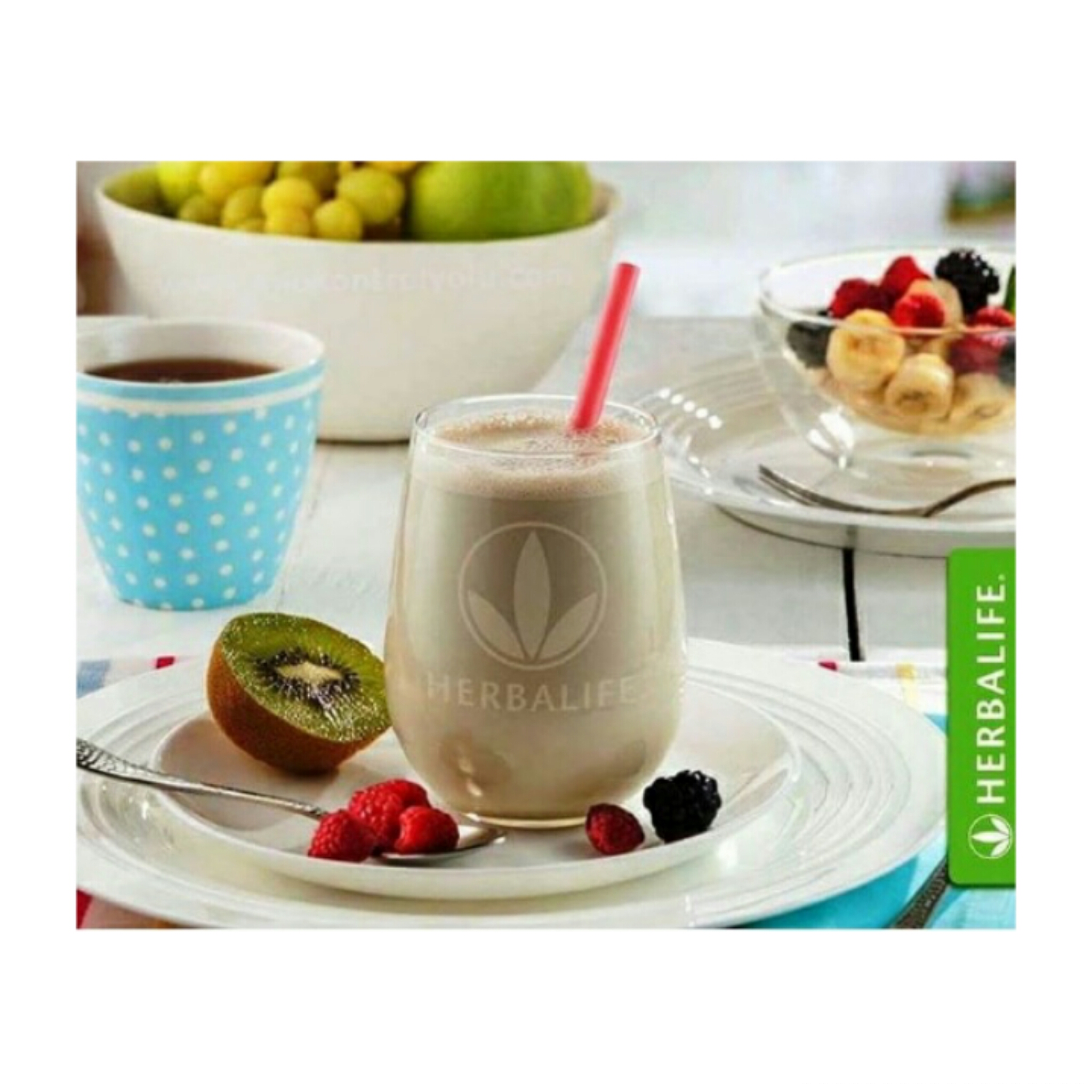 Ayın Ürünü Herbalife Formül 1 Shake